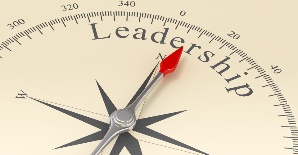 Skills measurement platform for leadership development